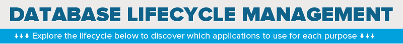 Database Life Cycle Management