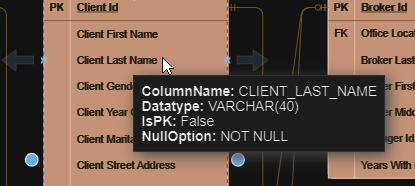Attribute's Data