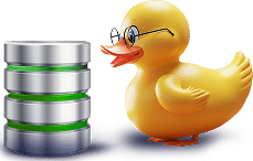 SQL_Duck